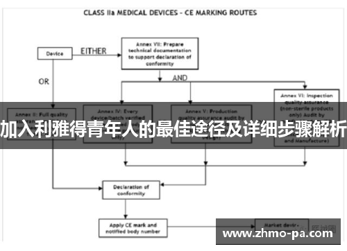加入利雅得青年人的最佳途径及详细步骤解析