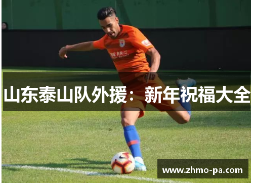 山东泰山队外援：新年祝福大全