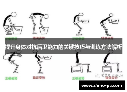 提升身体对抗后卫能力的关键技巧与训练方法解析
