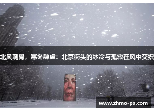 北风刺骨，寒冬肆虐：北京街头的冰冷与孤寂在风中交织