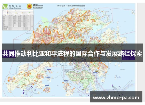 共同推动利比亚和平进程的国际合作与发展路径探索