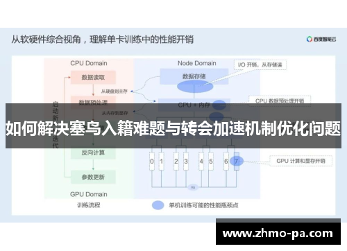 如何解决塞鸟入籍难题与转会加速机制优化问题