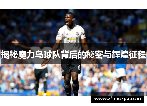 揭秘魔力鸟球队背后的秘密与辉煌征程