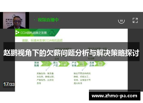 赵鹏视角下的欠薪问题分析与解决策略探讨