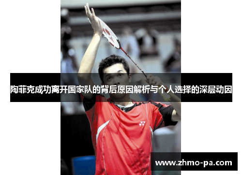 陶菲克成功离开国家队的背后原因解析与个人选择的深层动因