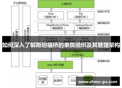 如何深入了解斯坦福桥的隶属组织及其管理架构