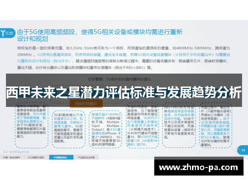 西甲未来之星潜力评估标准与发展趋势分析