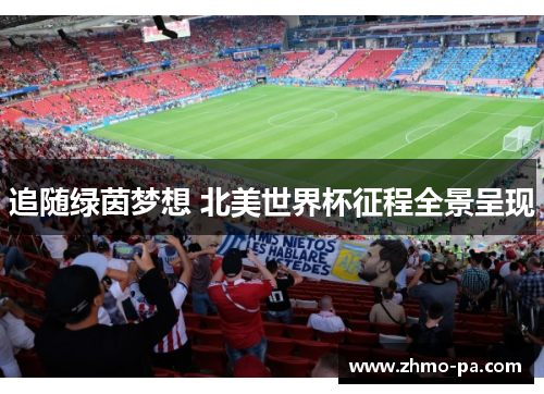 追随绿茵梦想 北美世界杯征程全景呈现 追随绿茵梦想 北美世界杯征程全景呈现